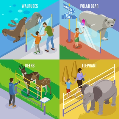 Contact zoo isometric 2x2 design concept with images of polar and tropical animals with no cages vector illustration