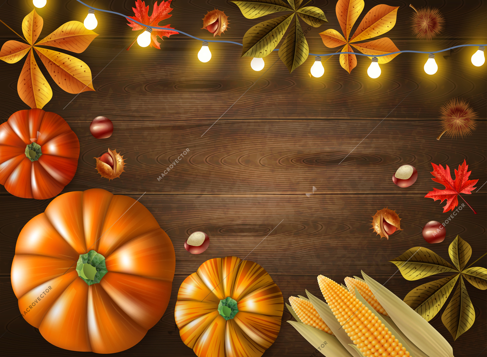 Thanksgiving day colored frame with different size pumpkins and lights on wooden background vector illustration