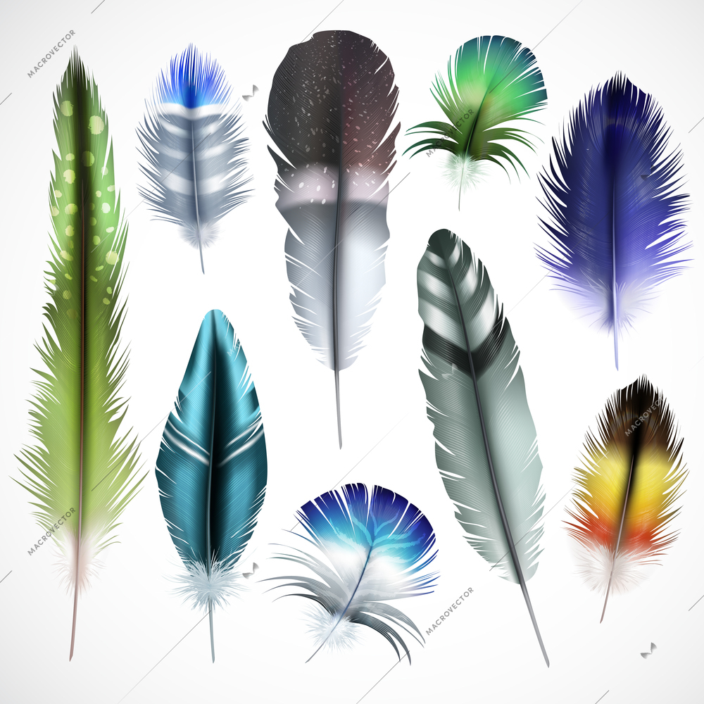 Exotic birds natural dyed spotted green purple shiny turquoise mix colored feathers realistic set isolated vector illustration