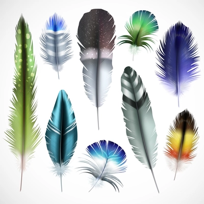 Exotic birds natural dyed spotted green purple shiny turquoise mix colored feathers realistic set isolated vector illustration