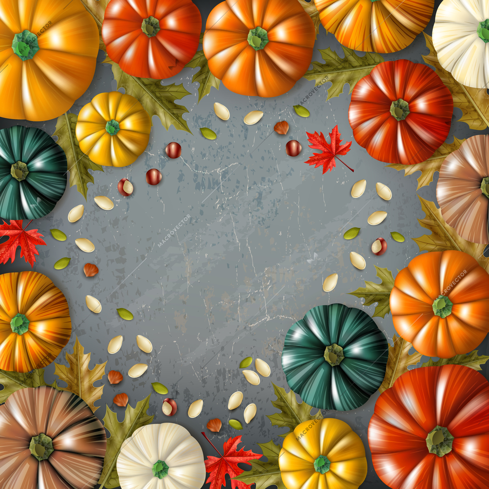 Colored thanksgiving day composition with different colors and sizes pumpkins combined in frame vector illustration