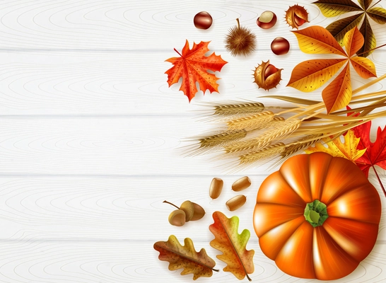 Thanksgiving day stylish composition with autumn colors and different pumpkins set on white background vector illustration