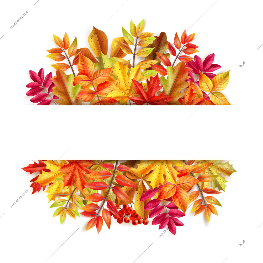 Thanksgiving day composition with colorful leaves frame and place for message at the center vector illustration