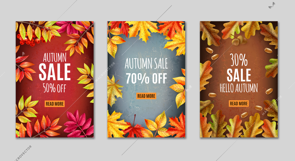 Thanksgiving day banner or tag set with autumn sale descriptions and orange leaves around vector illustration