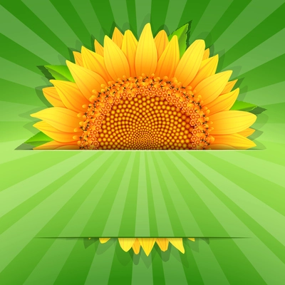 Summer abstract sunflower poster template vector illustration