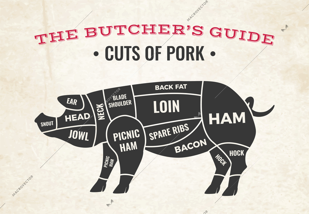 Butchery diagram with silhouette of pig and cuts of pork on background of old paper vector illustration