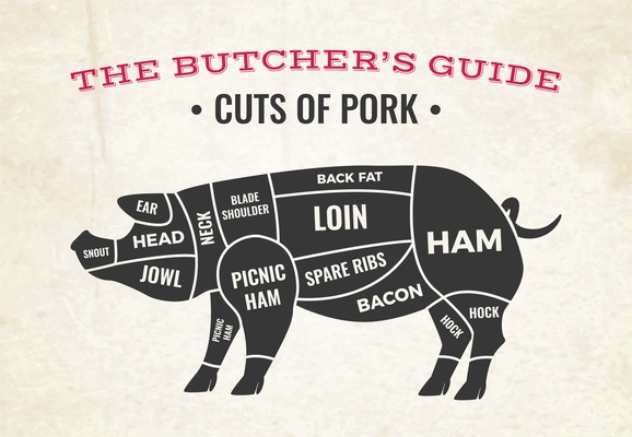 Butchery diagram with silhouette of pig and cuts of pork on background of old paper vector illustration