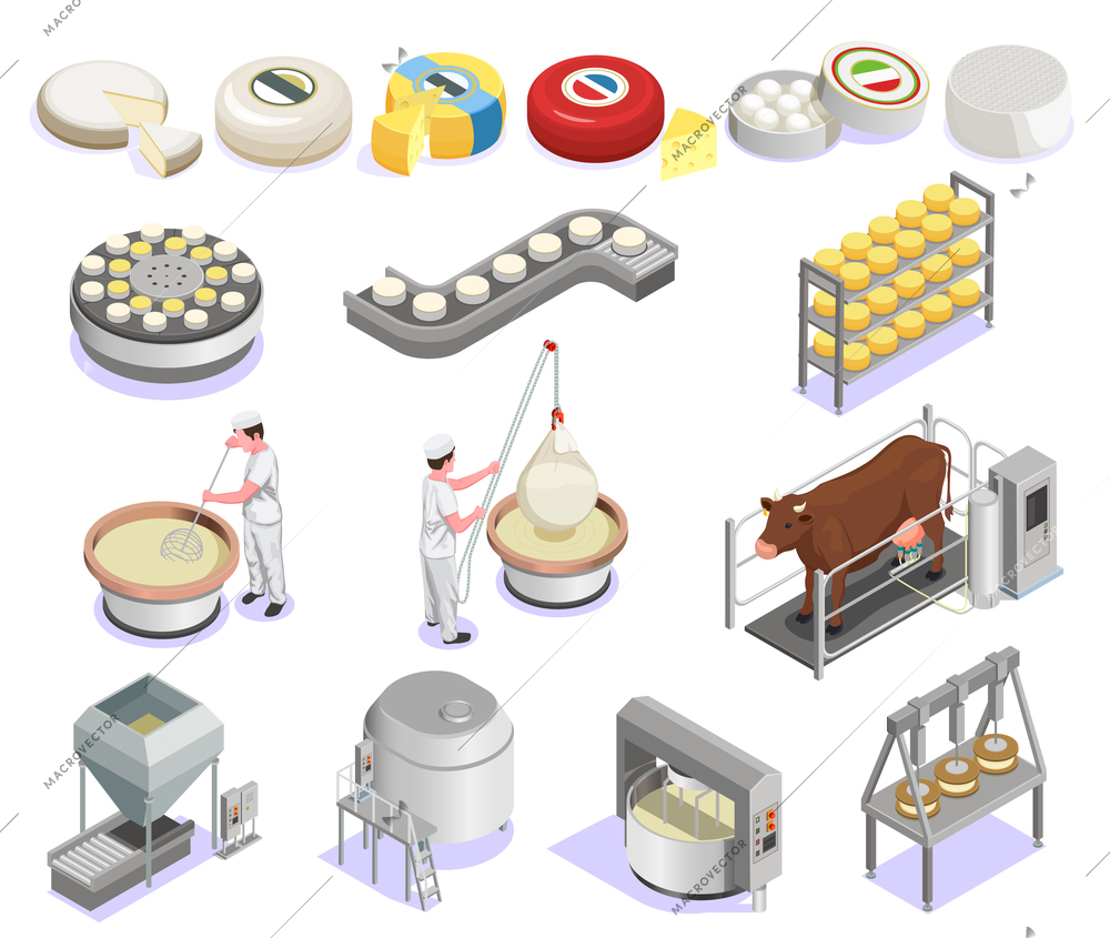 Cheese production isometric set with factory equipment and large assortment of finished products isolated vector illustration