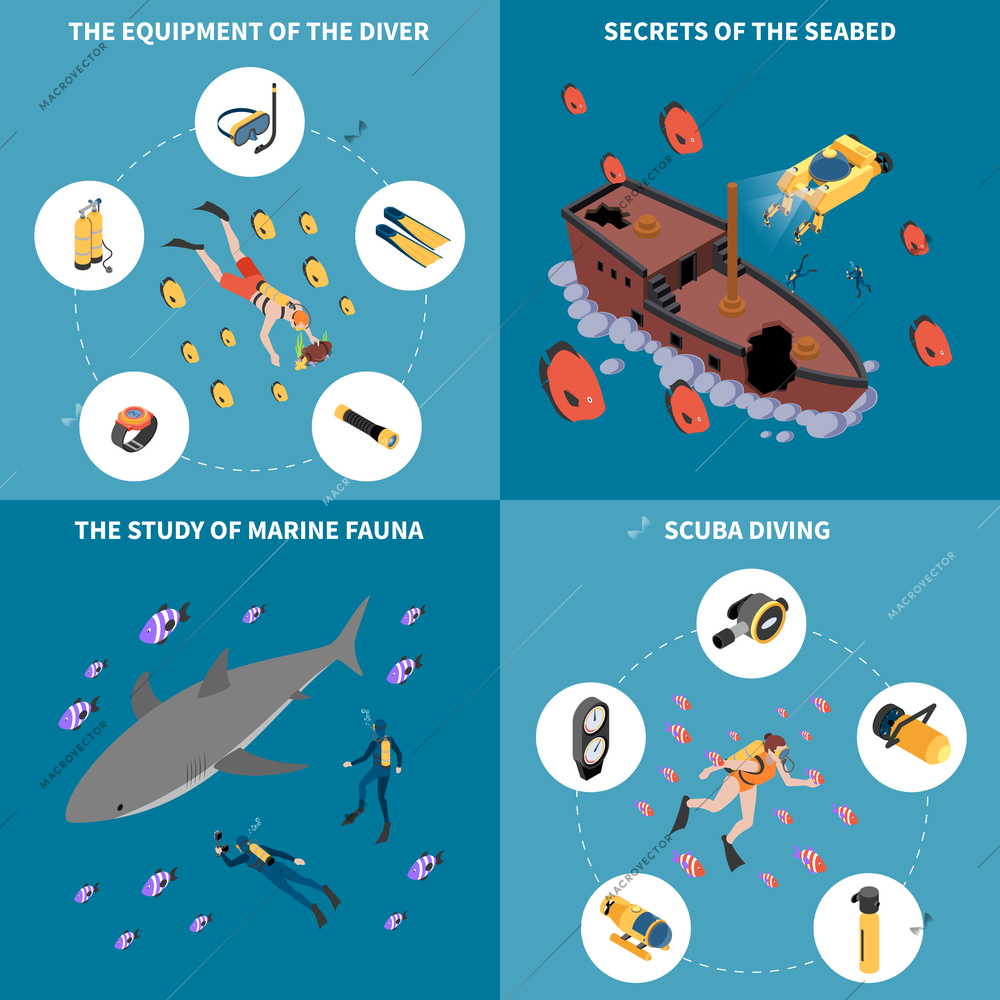 Scuba diving equipment study of marine fauna secrets of sea bed isometric design concept isolated vector illustration