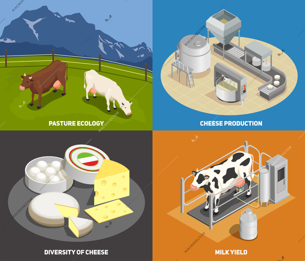 Cheese production 2x2 design concept set of pasture milk yield manufacturing diversity of cheese square icons isometric vector illustration