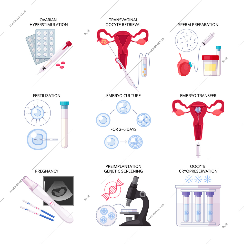 Isolated flat in vitro fertilization IVF icon set with fertilization pregnancy embryo culture transfer and other descriptions vector illustration