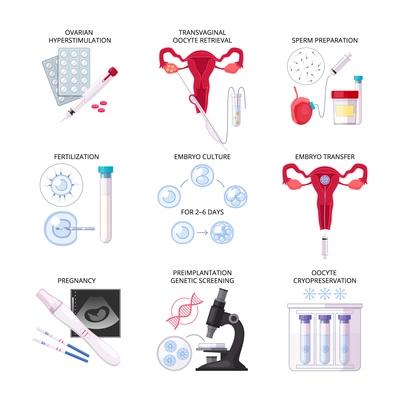 Isolated flat in vitro fertilization IVF icon set with fertilization pregnancy embryo culture transfer and other descriptions vector illustration