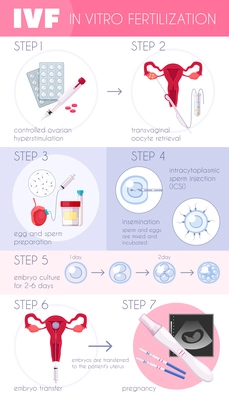 Colored flat in vitro fertilization IVF  infographics with steps for pregnancy progress vector illustration