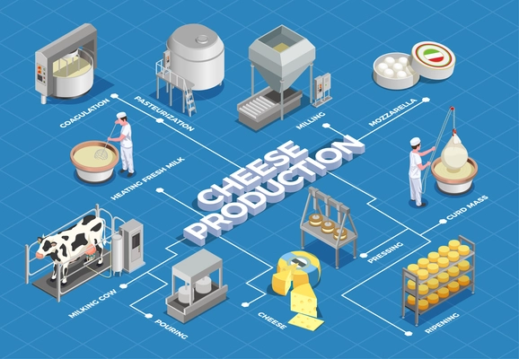 Cheese production isometric flowchart illustrated process from milk yield and pasteurization to fermenting pressing and ripening vector illustration