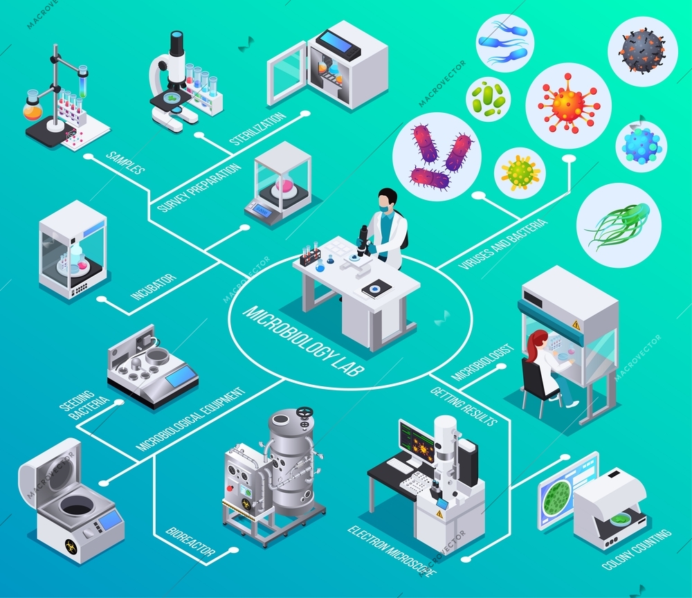 Microbiology lab flowchart  bioreactor electron microscopy seeding bacteria colony counting  isometric elements vector illustration