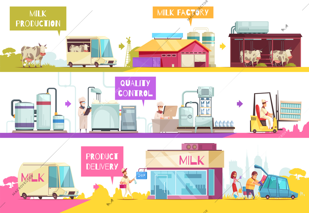 Milk production infographics composition of flat images representing different stages of milk manufacturing with text captions vector illustration