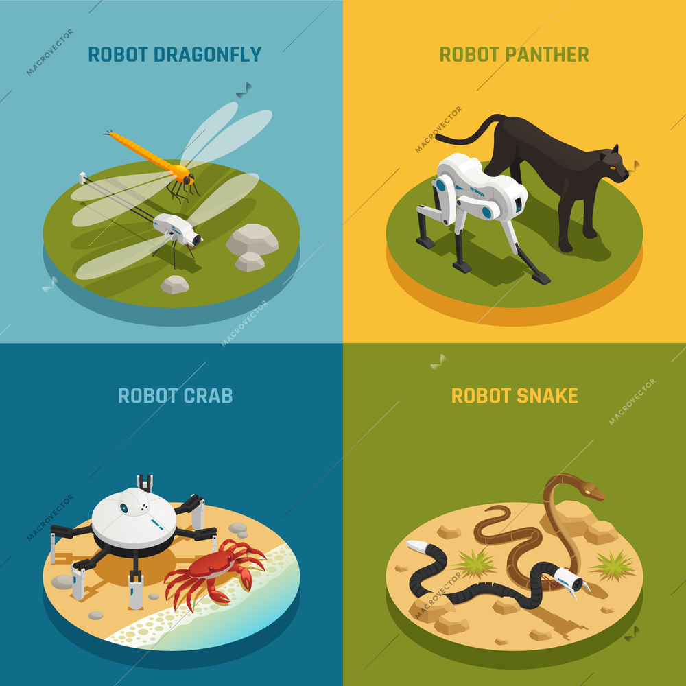 Compare of bio robots and real animals isometric design concept isolated vector illustration