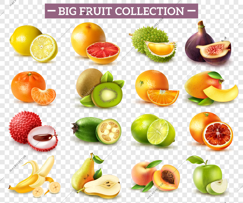 Realistic set of various kinds of fruits with orange kiwi pear lemon lime apple isolated on transparent background vector illustration