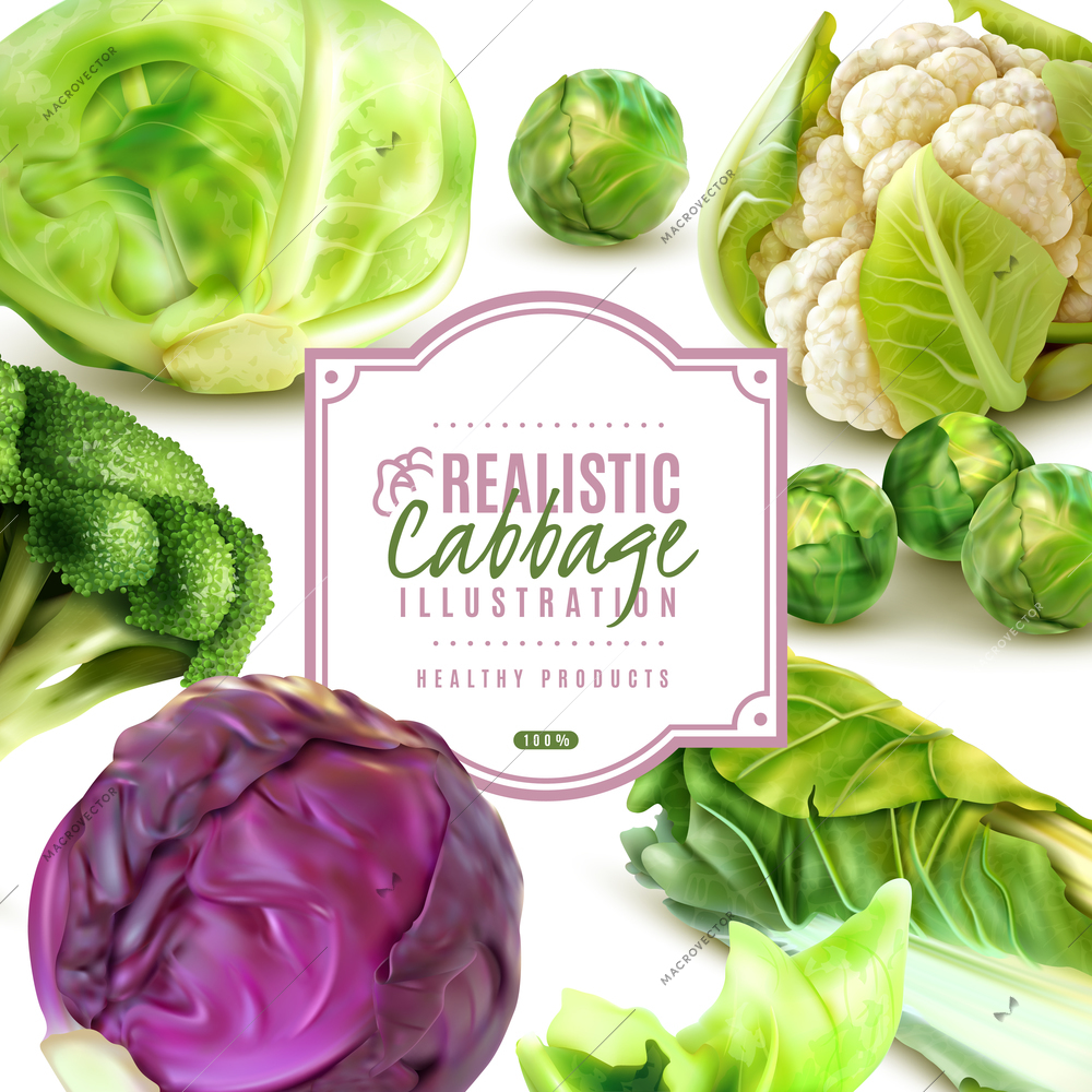 Realistic frame with different kinds of fresh cabbage on white background vector illustration