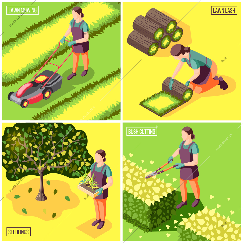 Landscaping isometric design concept with laying and mowing of lawn bushes trimming and seedlings isolated vector illustration