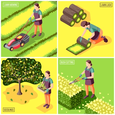 Landscaping isometric design concept with laying and mowing of lawn bushes trimming and seedlings isolated vector illustration