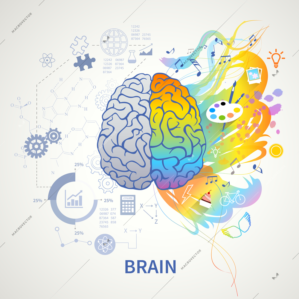 Brain functions concept infographic symbolic depiction with left side logic science mathematics right arts creativity vector illustration