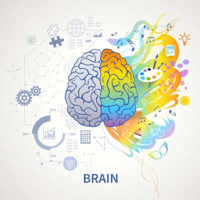 Brain functions concept infographic symbolic depiction with left side logic science mathematics right arts creativity vector illustration