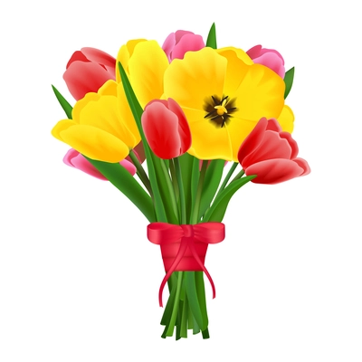 Multicolored beautiful blossoming blooming tulip flower bouquet realistic vector illustration.