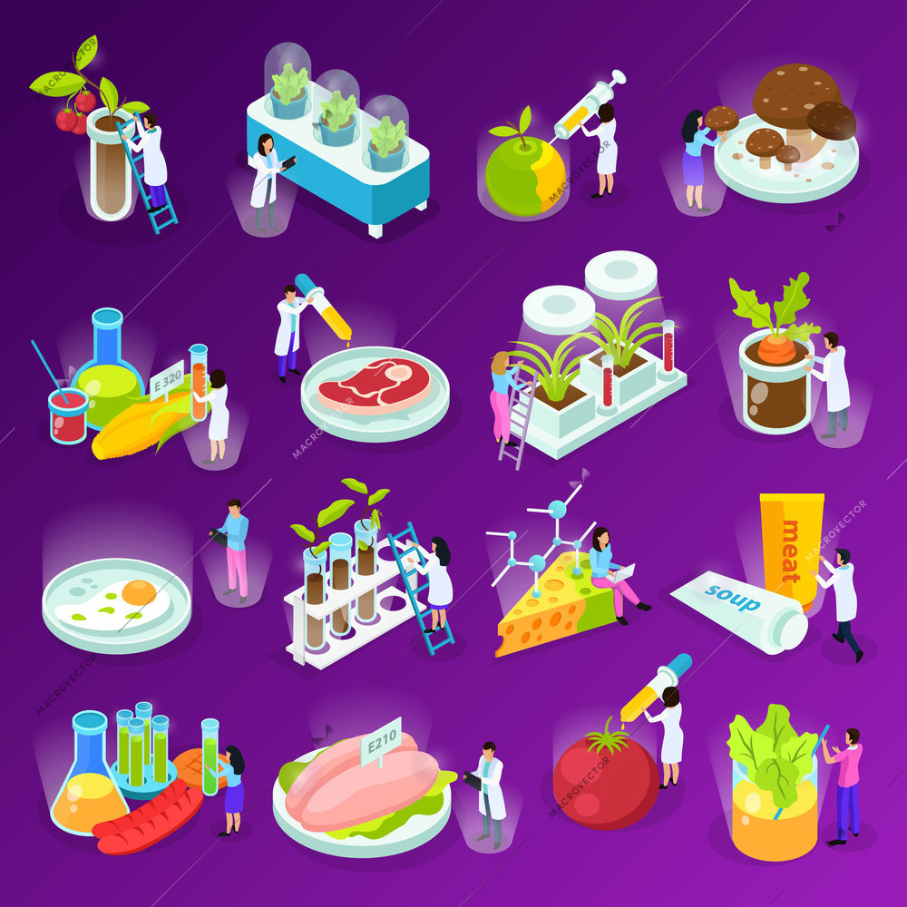 Set of isometric icons with artificial food scientists and laboratory equipment on purple background isolated vector illustration