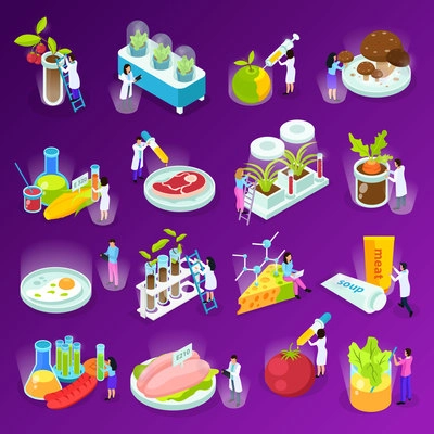Set of isometric icons with artificial food scientists and laboratory equipment on purple background isolated vector illustration