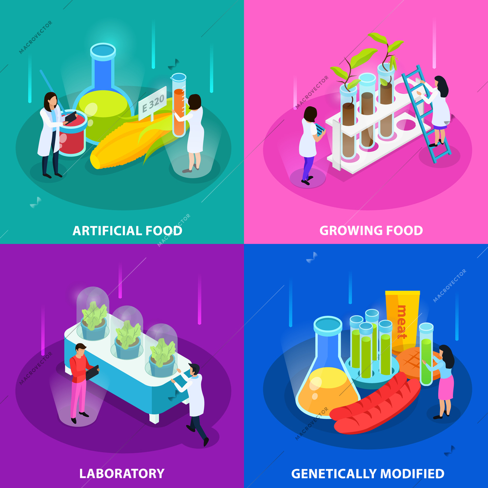 Artificial foods isometric design concept with growing vegetables in laboratory and genetically modified products isolated vector illustration