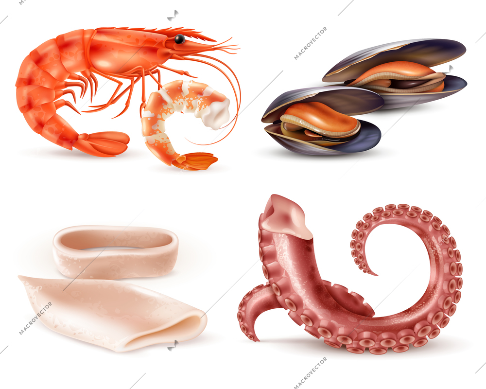 Seafood marine food cocktail realistic closeup elements with shrimp mussels squid parts octopus tentacles isolated vector illustration