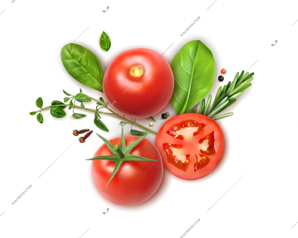 Fresh tomatoes whole and slices realistic composition with basil oregano rosemary herbs aromatic clove spice vector illustration