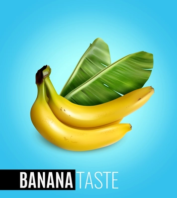 Bunch of ripe bananas with palm leaf advertising natural food taste realistic poster blue background vector illustration