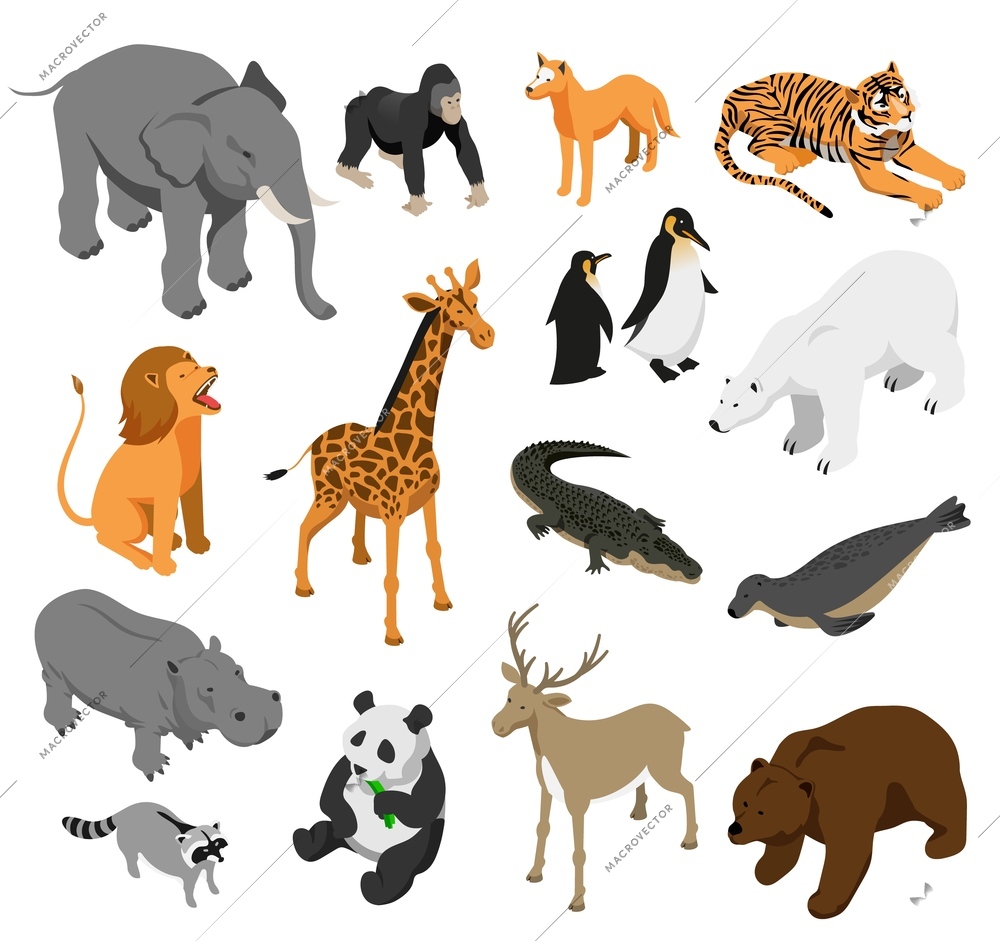 Herbivorous and predatory zoo animals set of isometric icons on white background isolated vector illustration