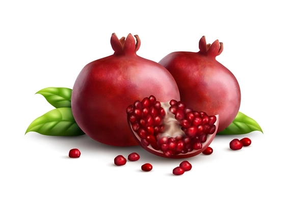 Two fresh ripe whole pomegranates with quarter part and strewn seeds appetizing closeup realistic composition vector illustration