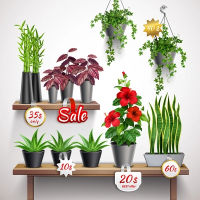 Realistic shop shelf with house plants and flowers vector illustration