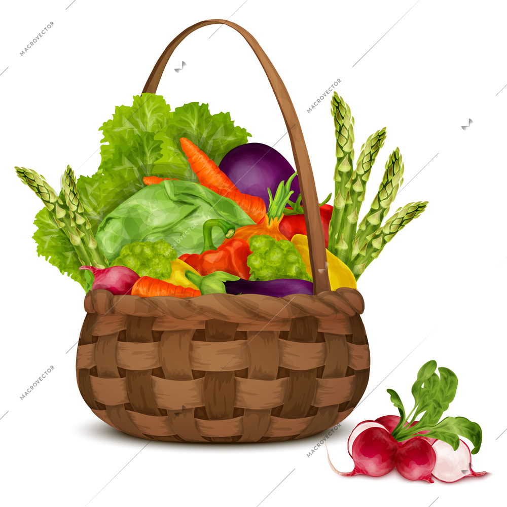 Fresh vegetable organic food set still life in basket isolated on white background vector illustration