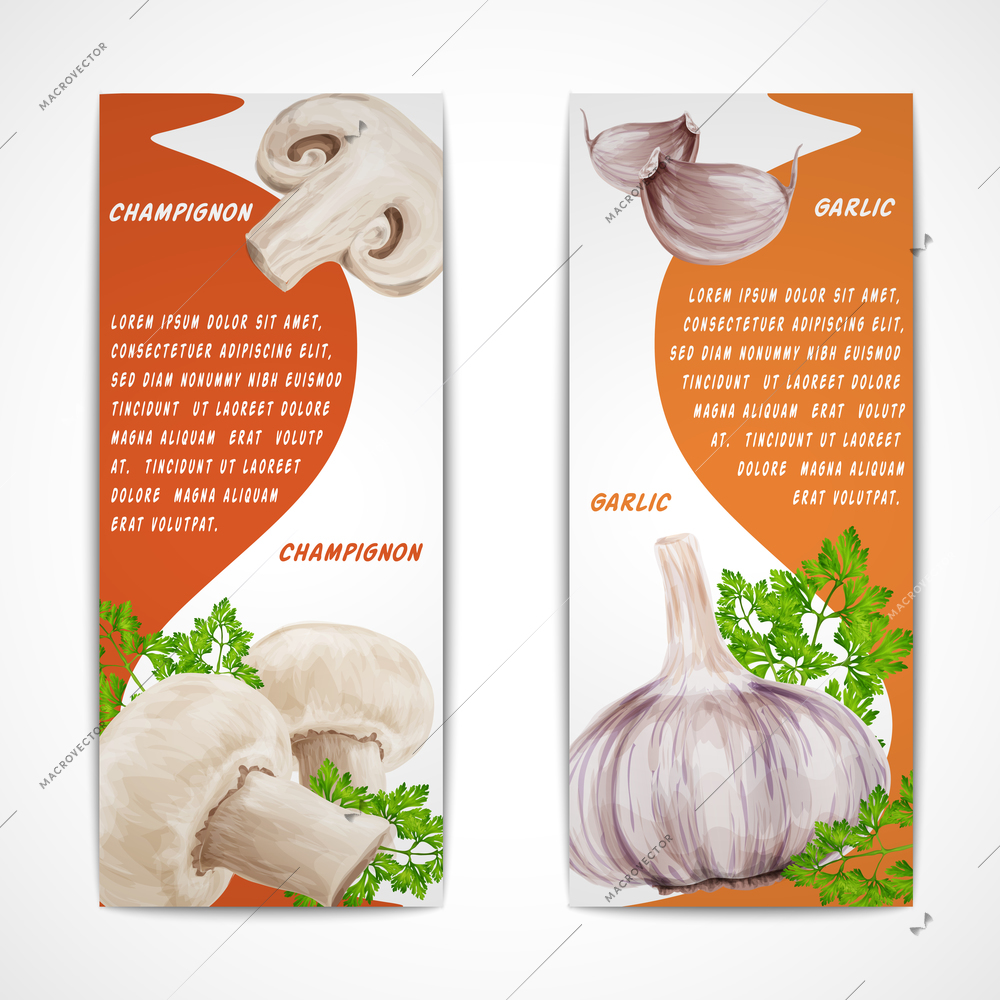 Vegetable organic food realistic garlic and champignon banners set isolated vector illustration.