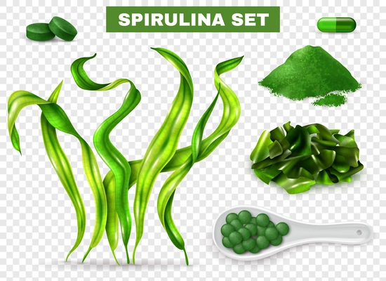 Spirulina realistic set with seaweeds  supplement capsules tablets green powder chopped dried algae transparent background vector illustration