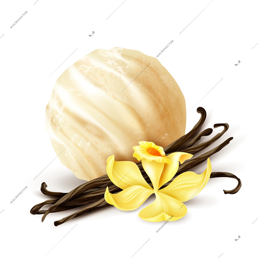 Vanilla ice cream scoop closeup realistic composition with aromatic dried beans and fresh yellow flower vector illustration