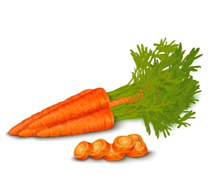 Vegetable organic food realistic fresh carrot isolated on white background vector illustration.