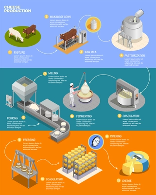 Cheese production isometric infographics layout with eleven phases of cheese preparation from raw milk vector illustration