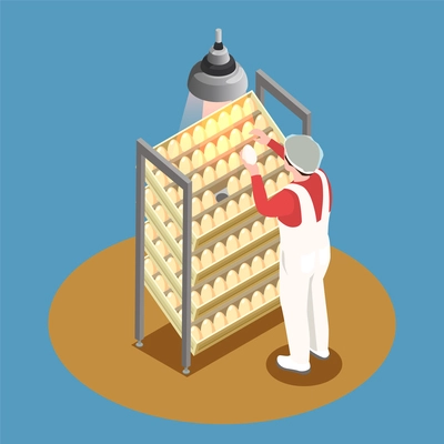 Chicken farm isometric design concept with incubator rack and employee looking through chicken eggs vector illustration