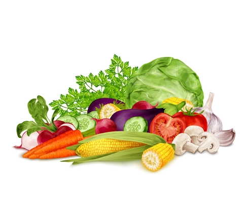 Fresh vegetable organic food set still life isolated on white background vector illustration.