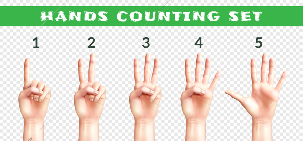 Set of men hands counting from one to five isolated on transparent background realistic vector illustration