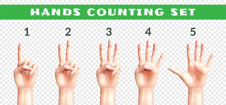 Set of men hands counting from one to five isolated on transparent background realistic vector illustration