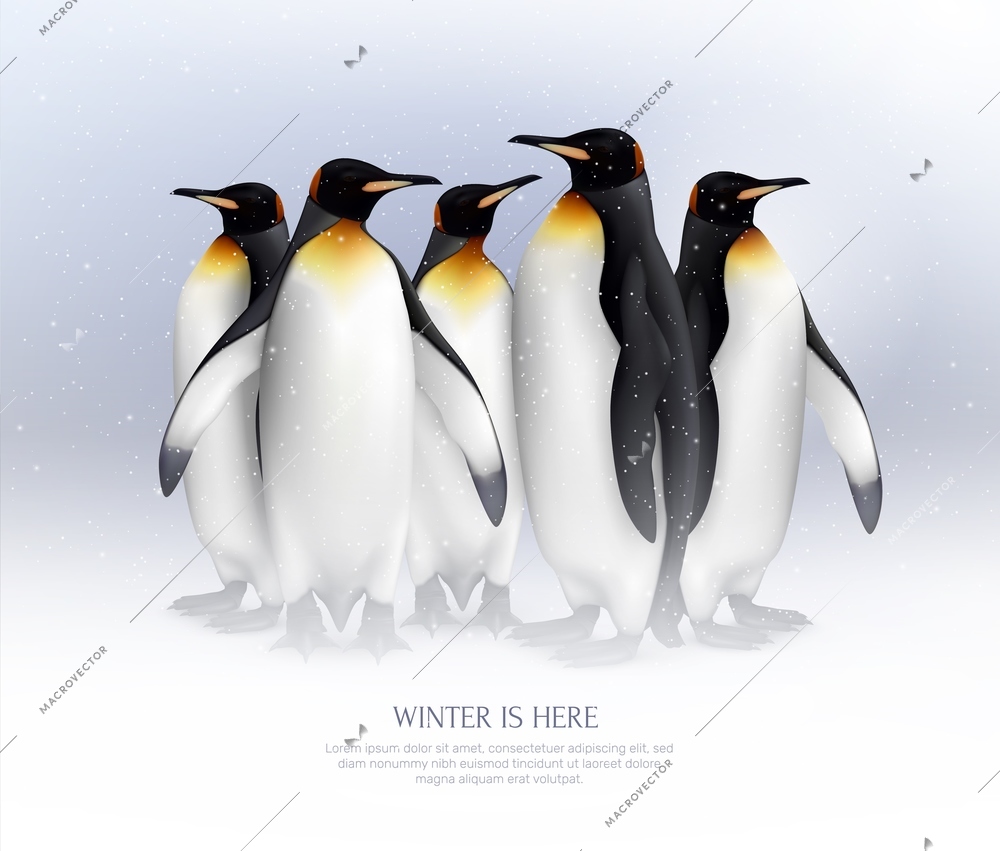 King penguins colony in snowy environment composition realistic background poster for great winter vacation ideas  vector illustration