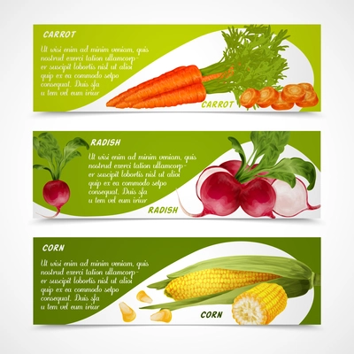 Vegetable organic food realistic carrot radish and corn horizontal banners set isolated vector illustration