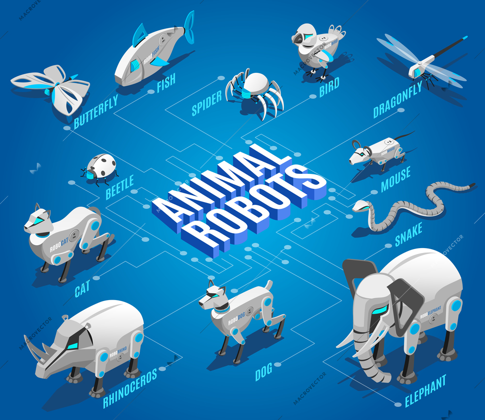 Animal robots isometric flowchart with automated pets companions remote controlled birds dragonflies drones insects devices vector illustration